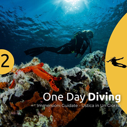 Ustica Oneday Diving